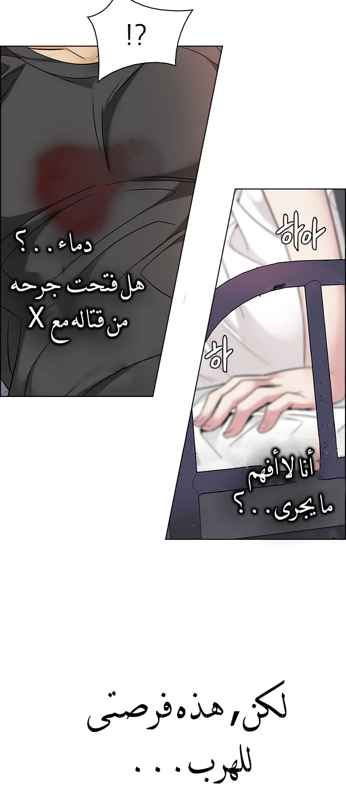 الصفحة 25 من 53
