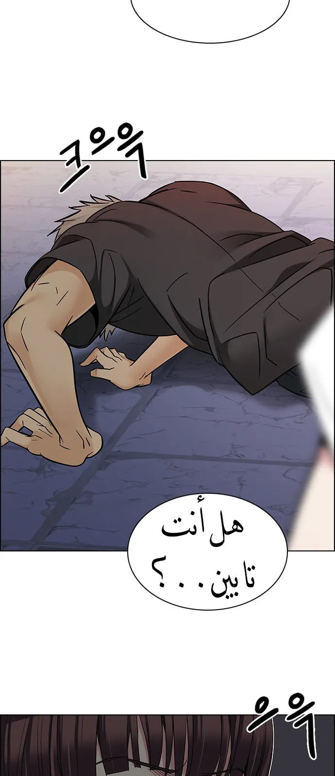 الصفحة 31 من 53