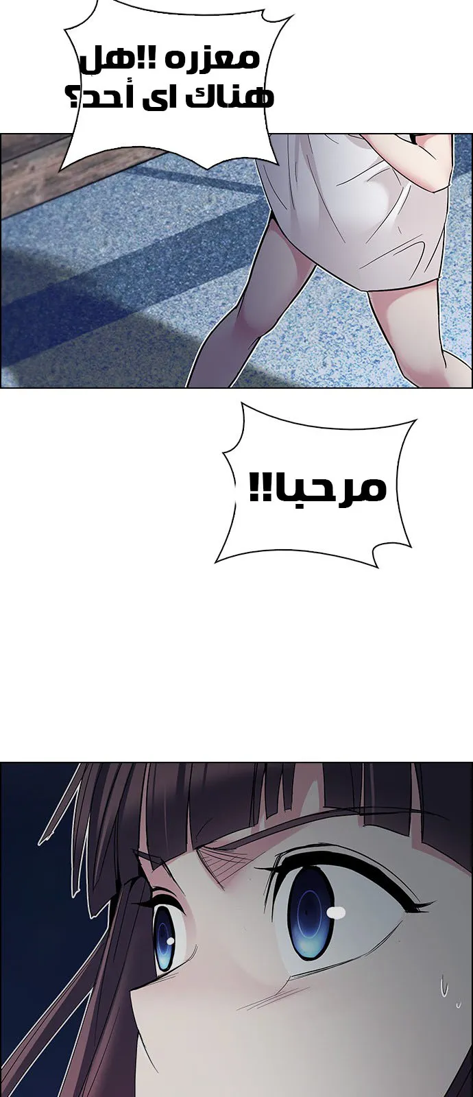 الصفحة 51 من 53