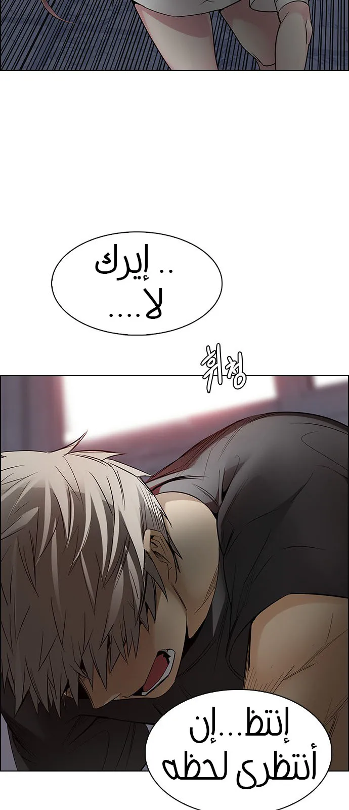الصفحة 28 من 53