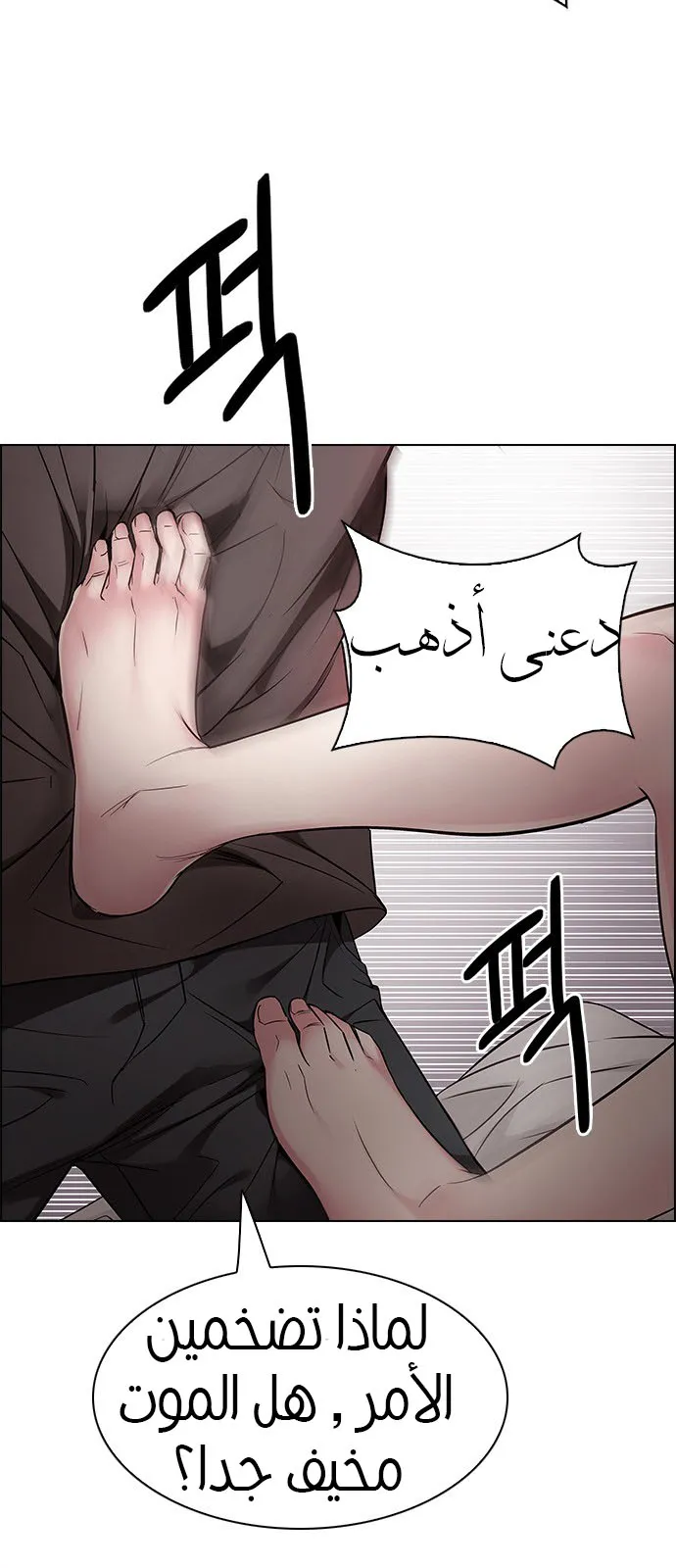 الصفحة 9 من 53