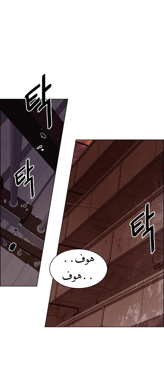 الصفحة 44 من 53