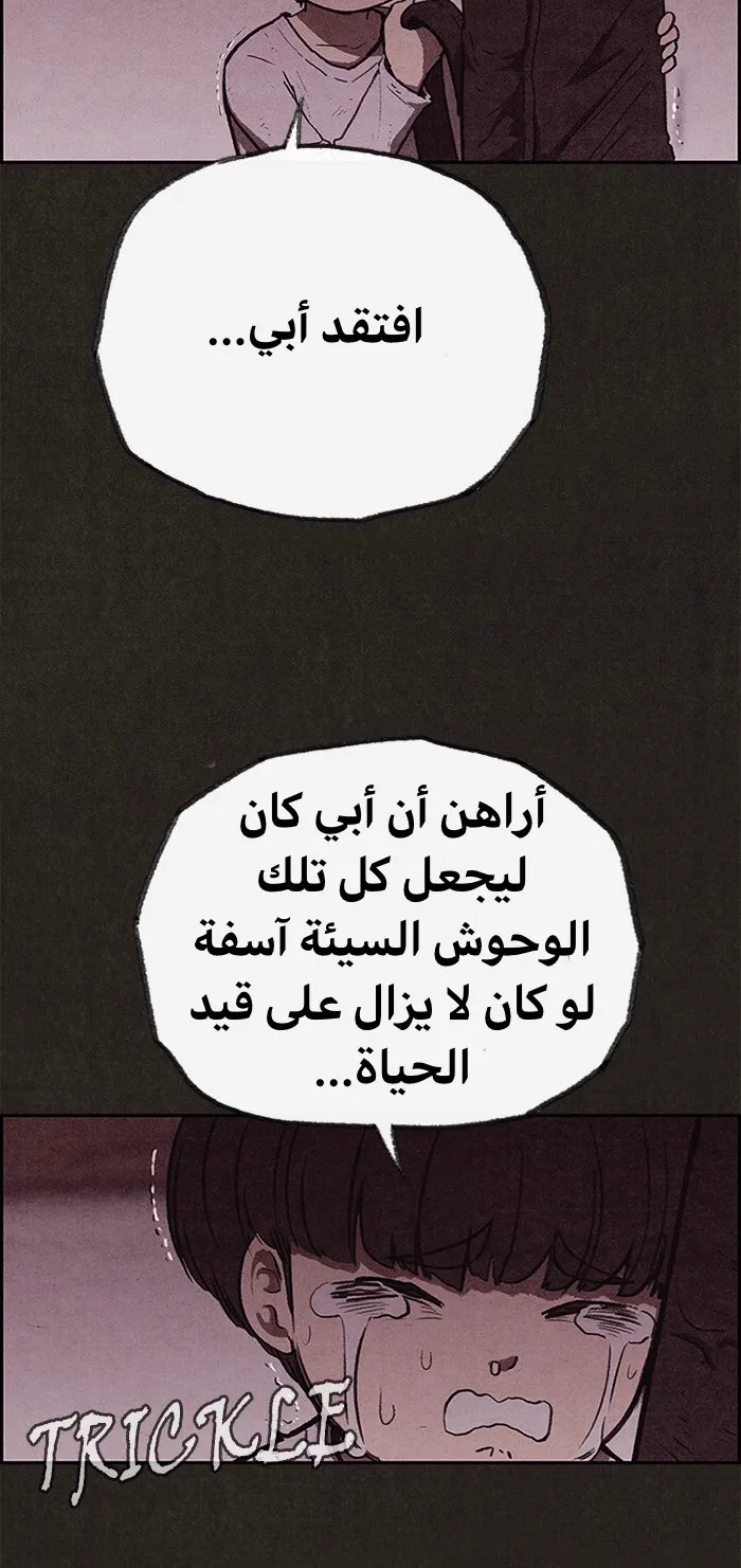 الصفحة 41 من 86