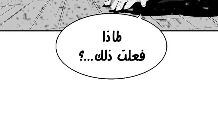 الصفحة 214 من 250