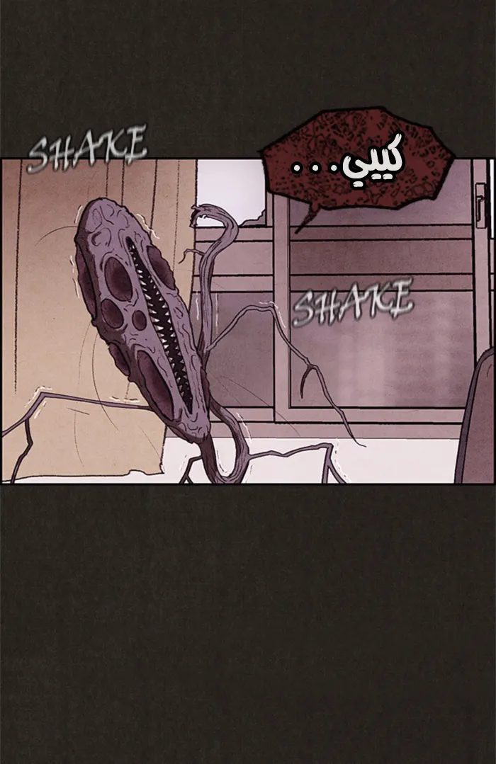 الصفحة 24 من 78