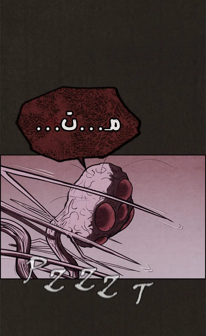الصفحة 12 من 78