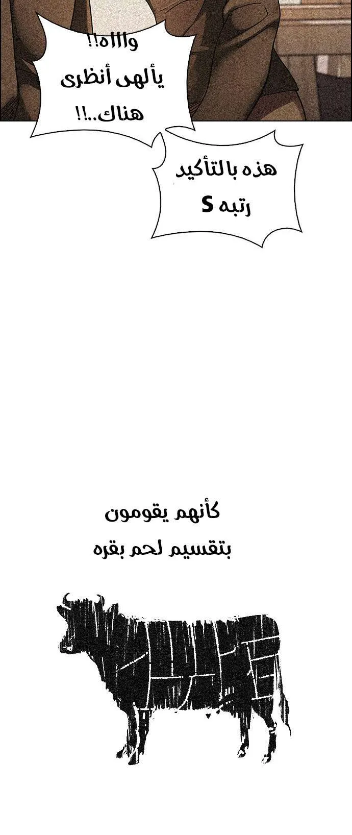 الصفحة 6 من 62