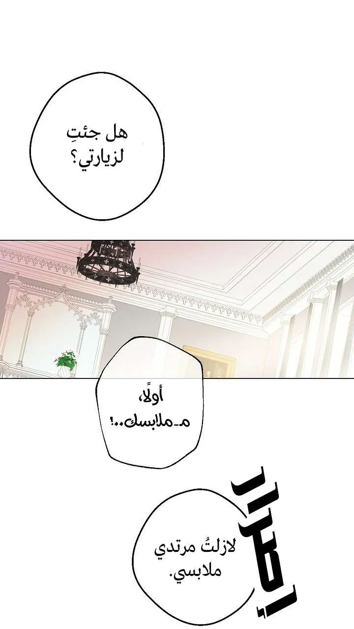 الصفحة 41 من 74