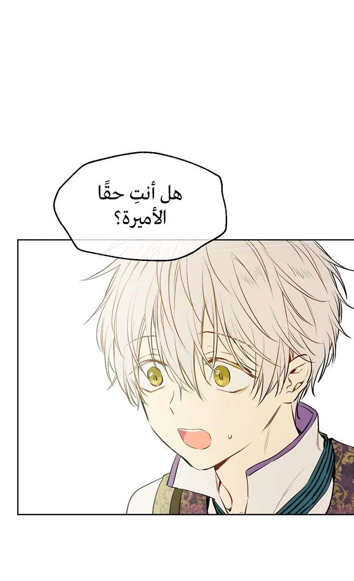 الصفحة 40 من 74