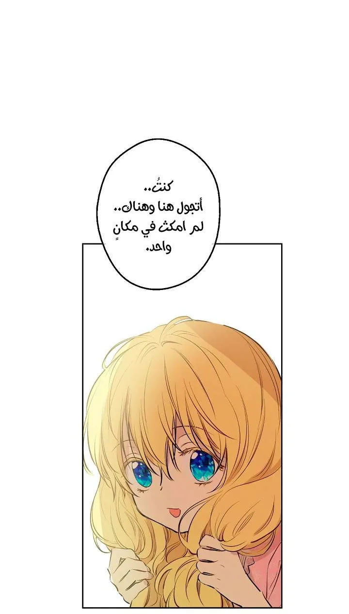 الصفحة 43 من 74