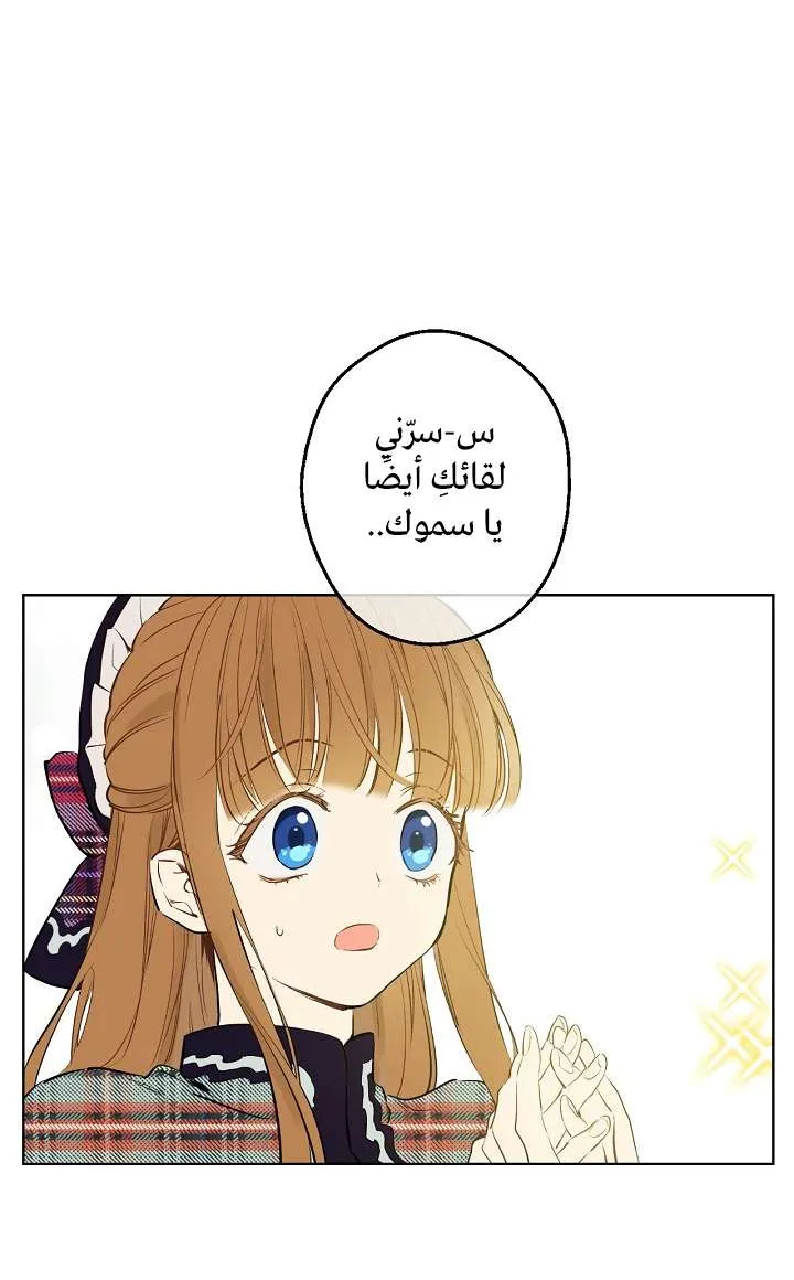 الصفحة 67 من 74