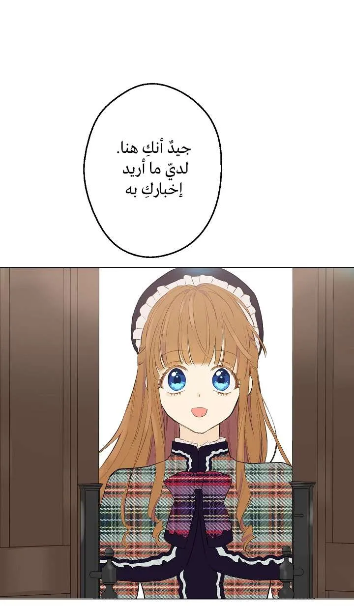 الصفحة 62 من 74