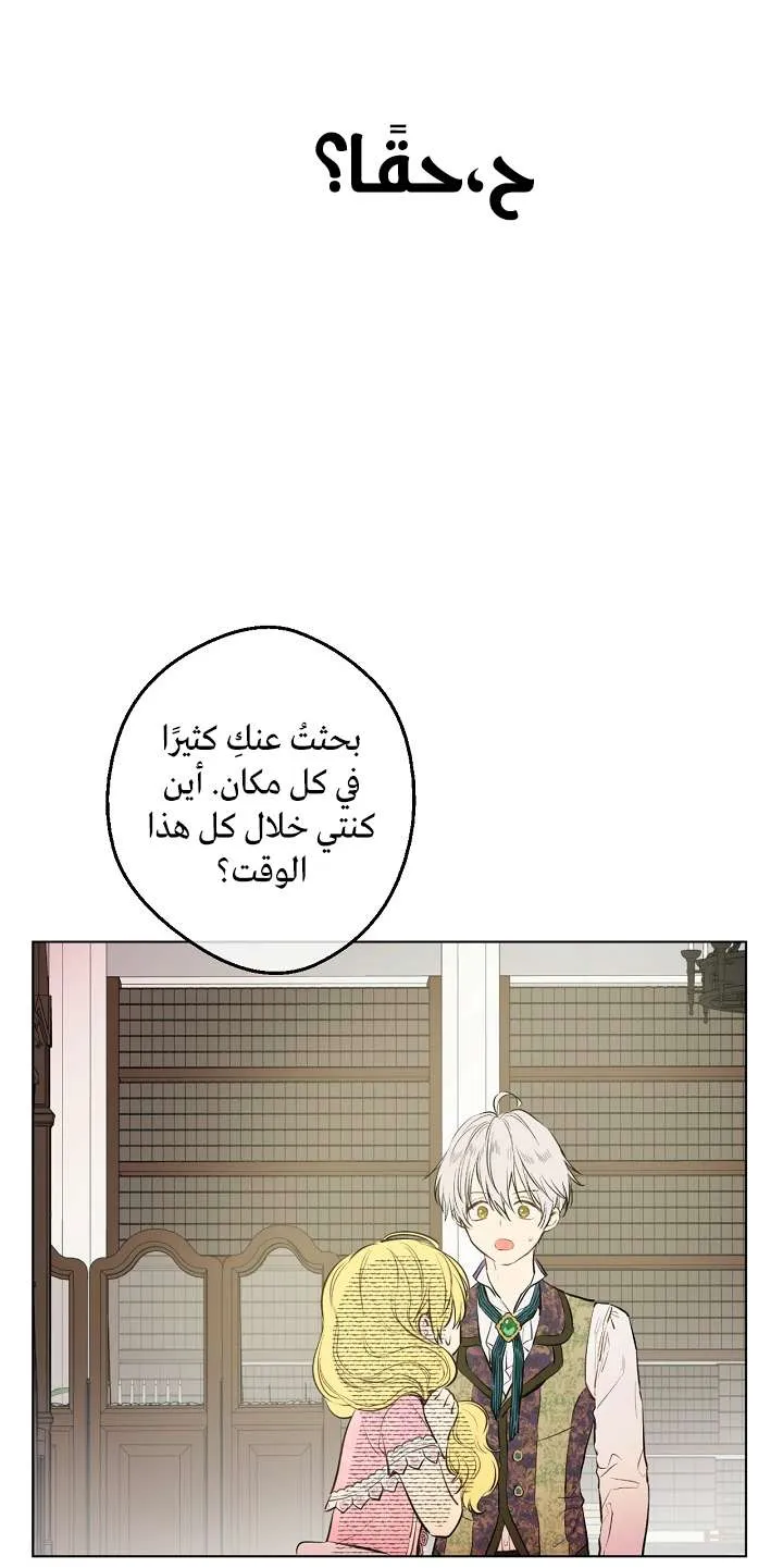الصفحة 42 من 74