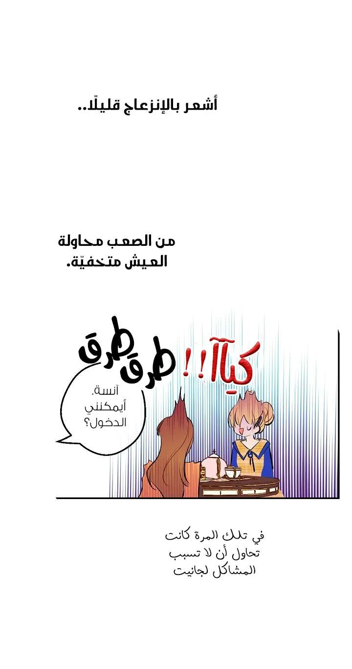 الصفحة 52 من 74