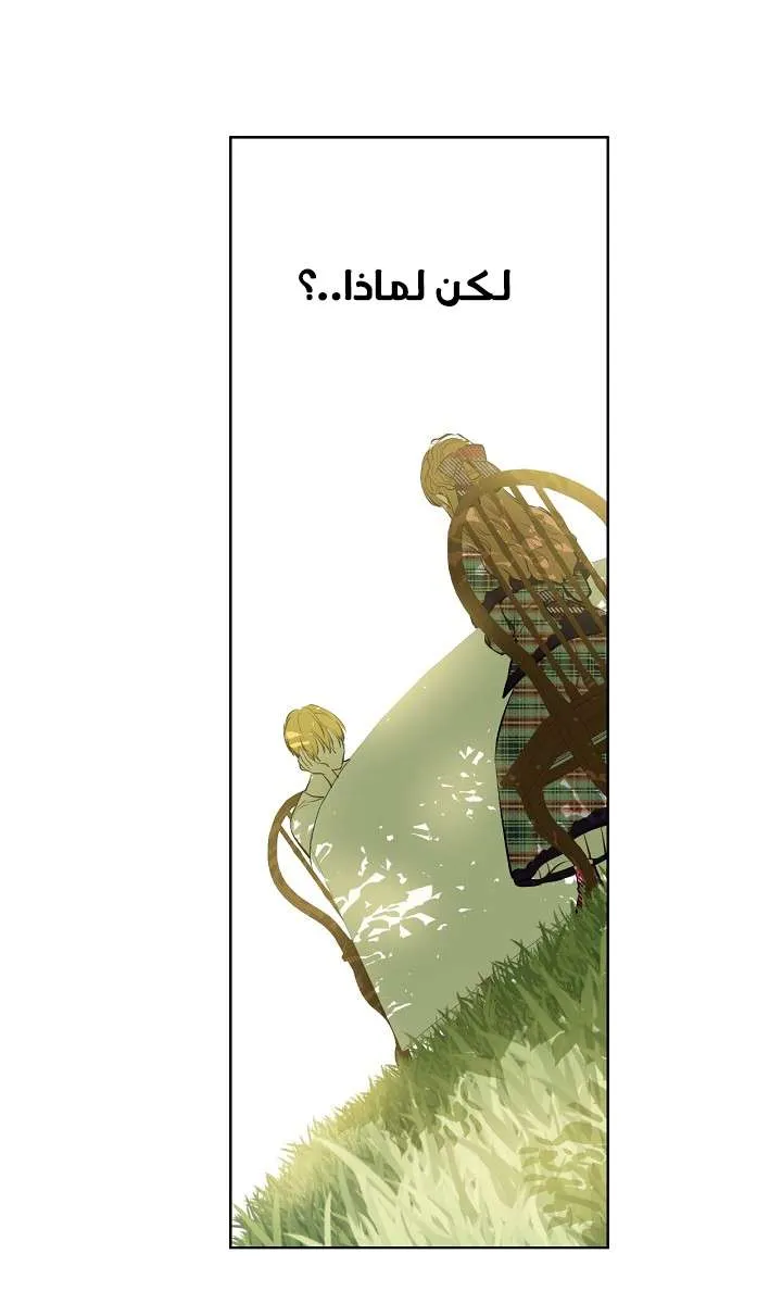 الصفحة 17 من 74