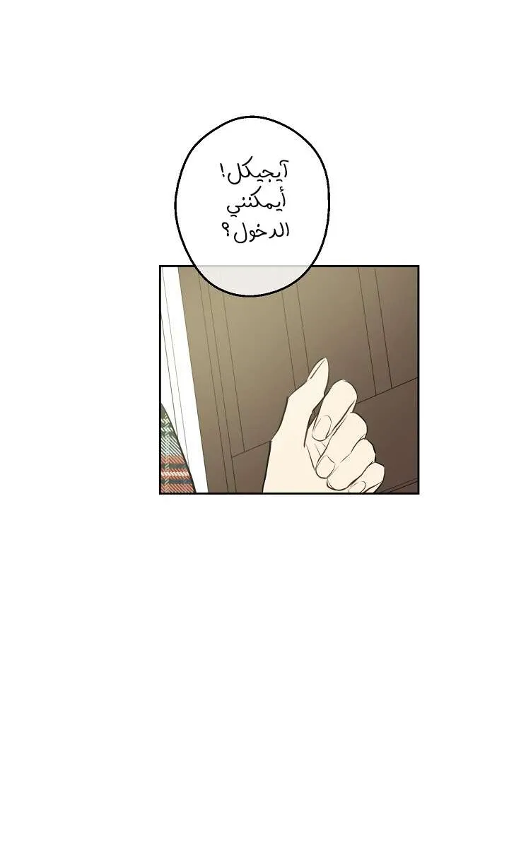 الصفحة 59 من 74