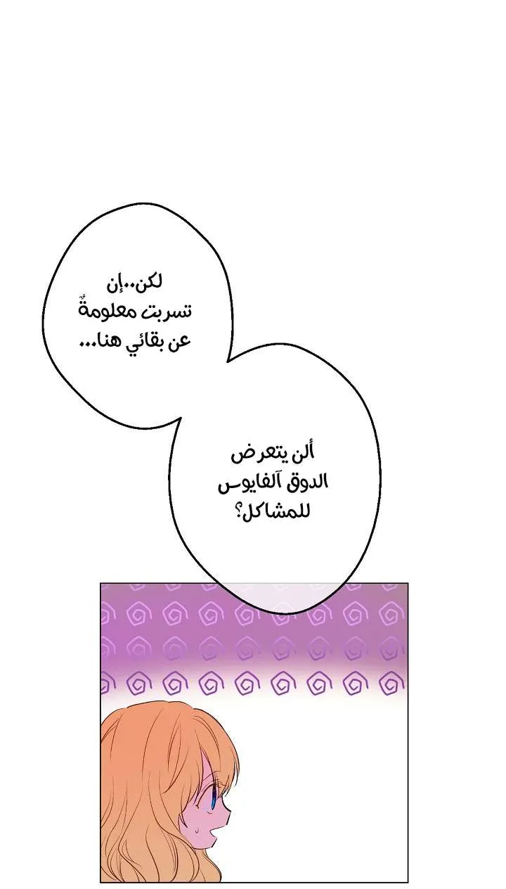 الصفحة 48 من 74