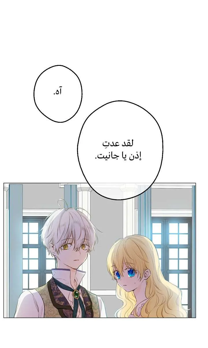 الصفحة 61 من 74