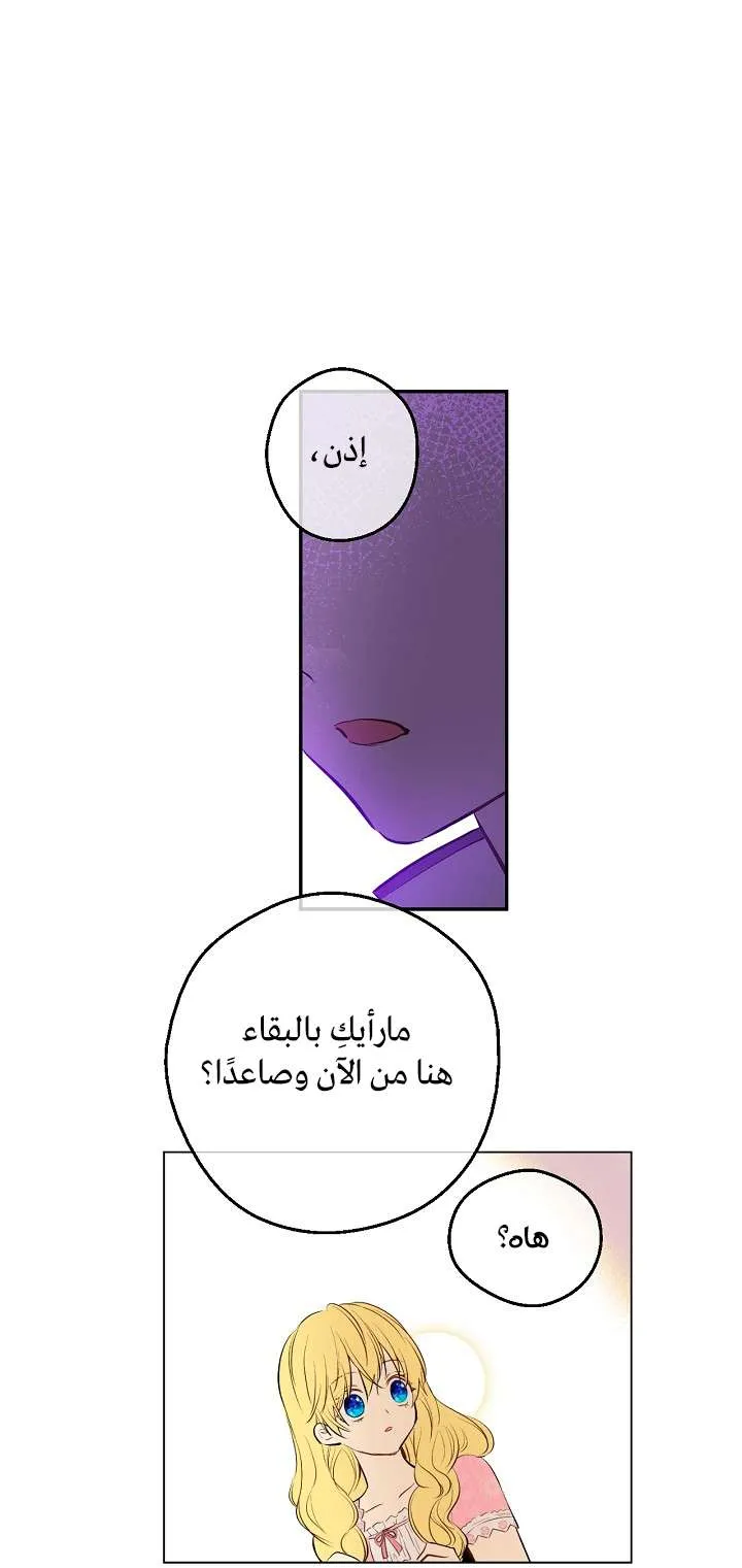 الصفحة 47 من 74