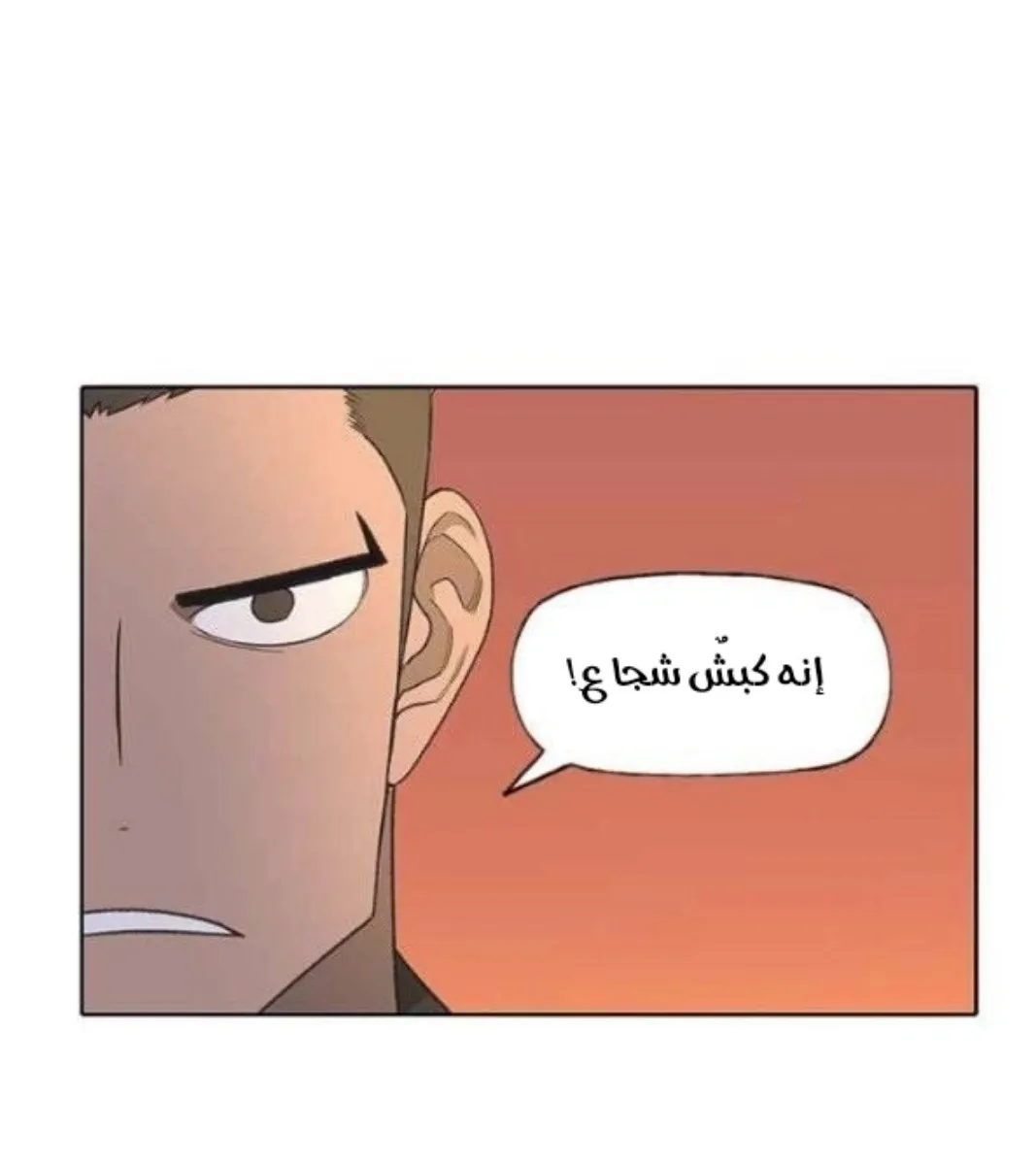 الصفحة 41 من 121