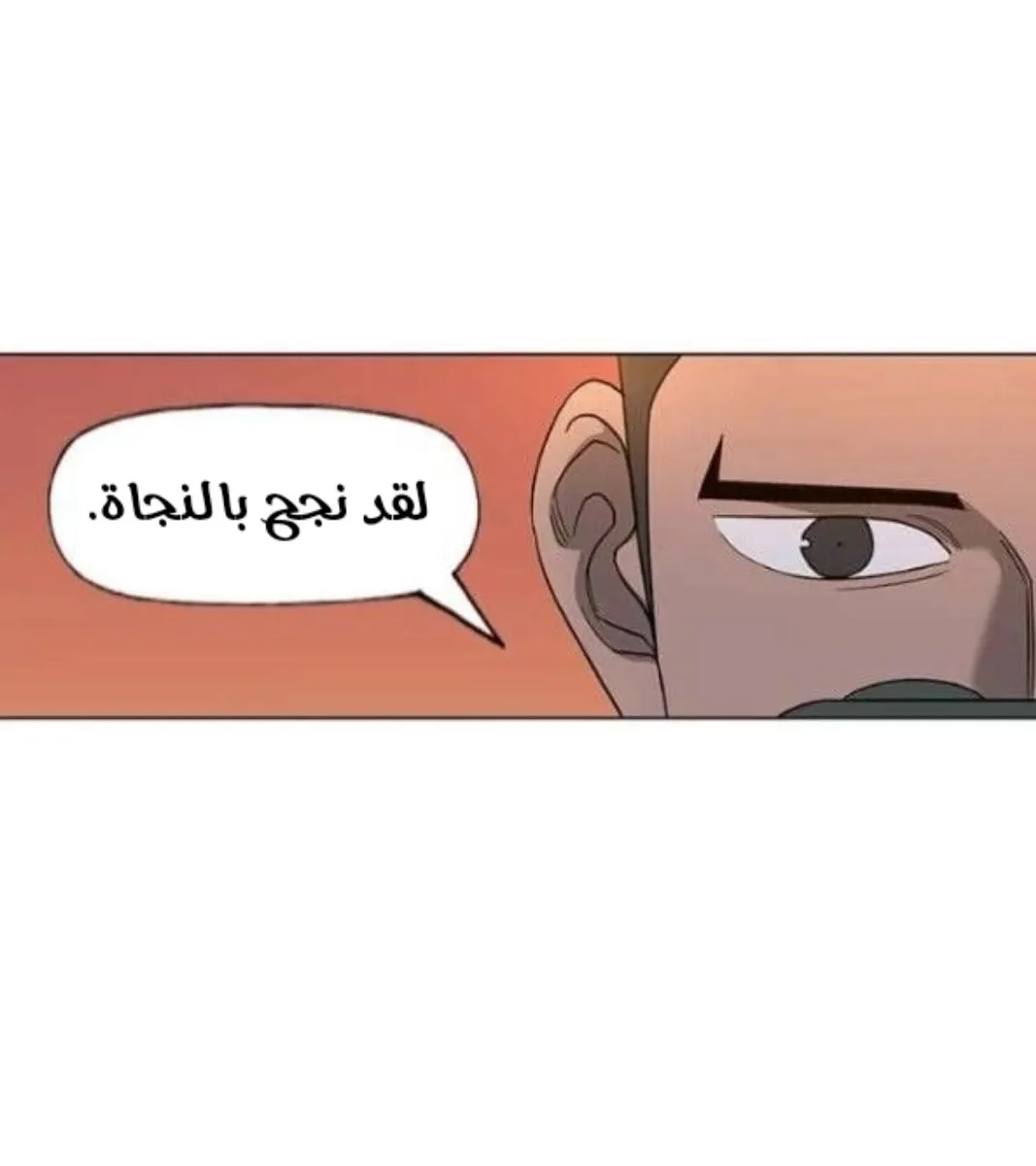 الصفحة 39 من 121