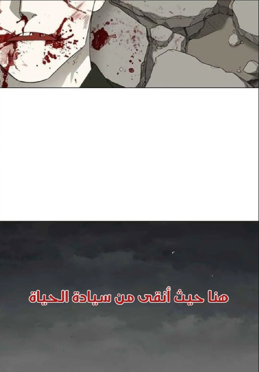 الصفحة 115 من 121