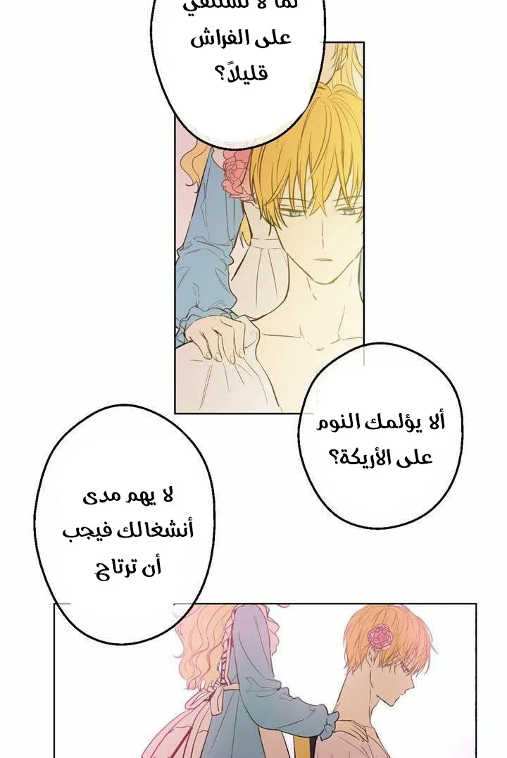 الصفحة 28 من 60