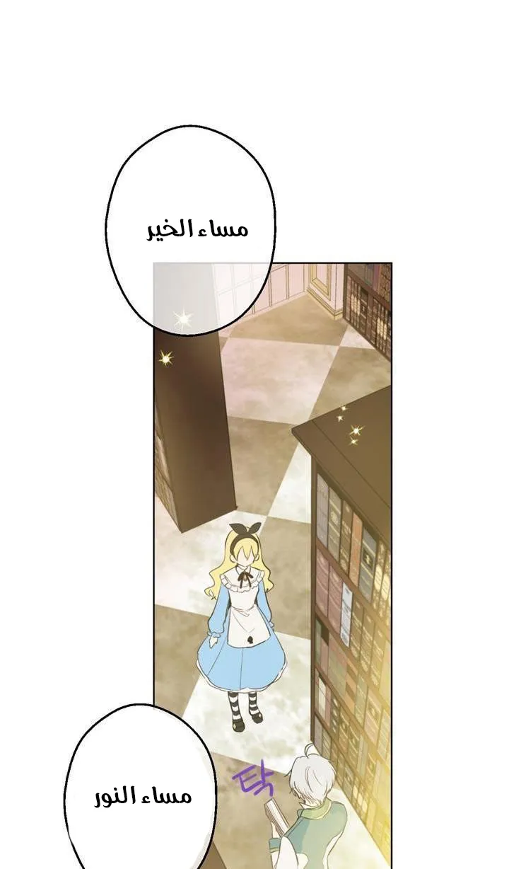 الصفحة 48 من 60