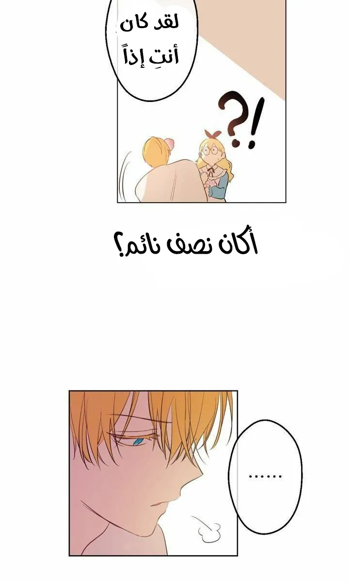 الصفحة 19 من 60