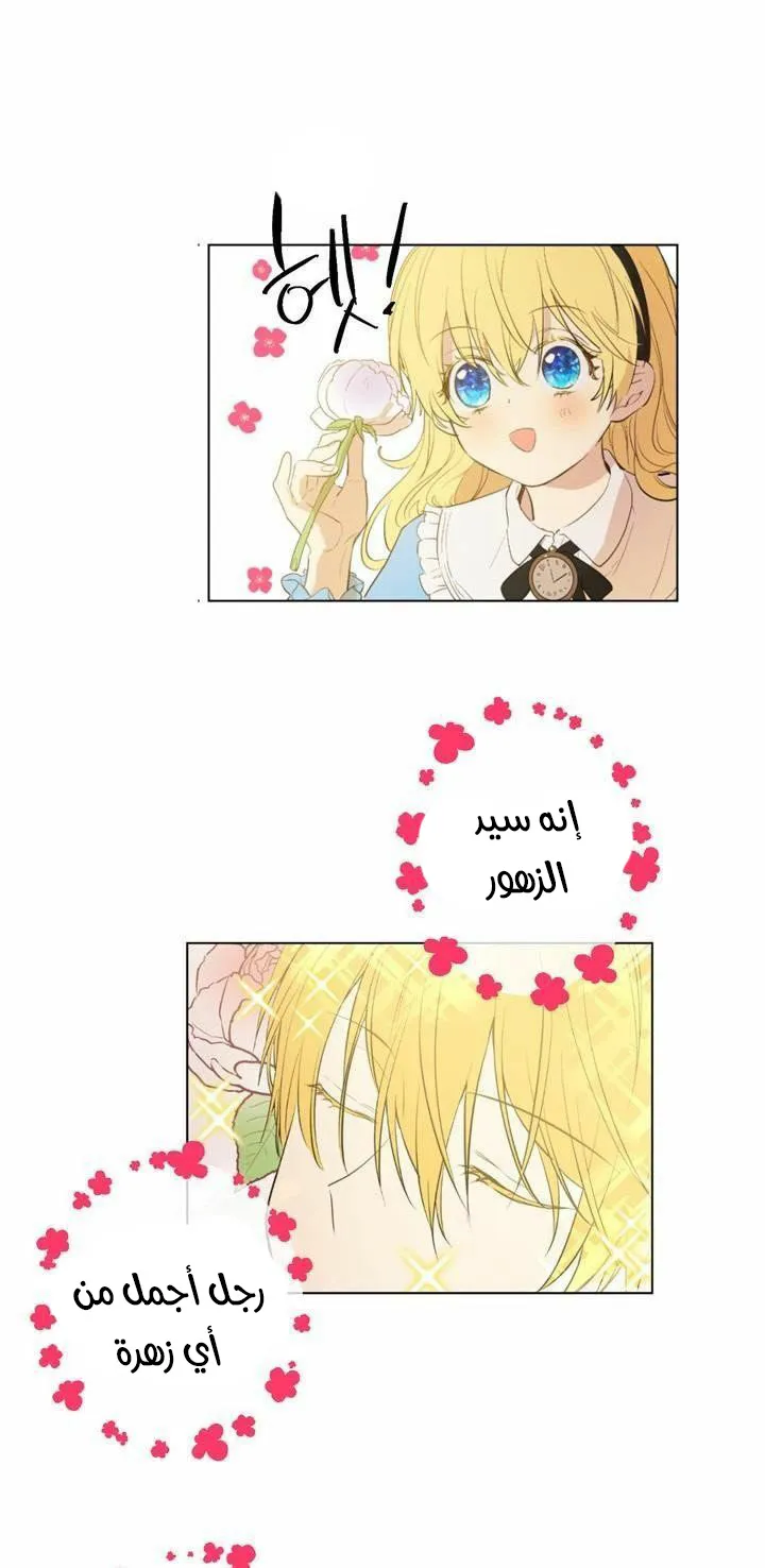 الصفحة 12 من 60