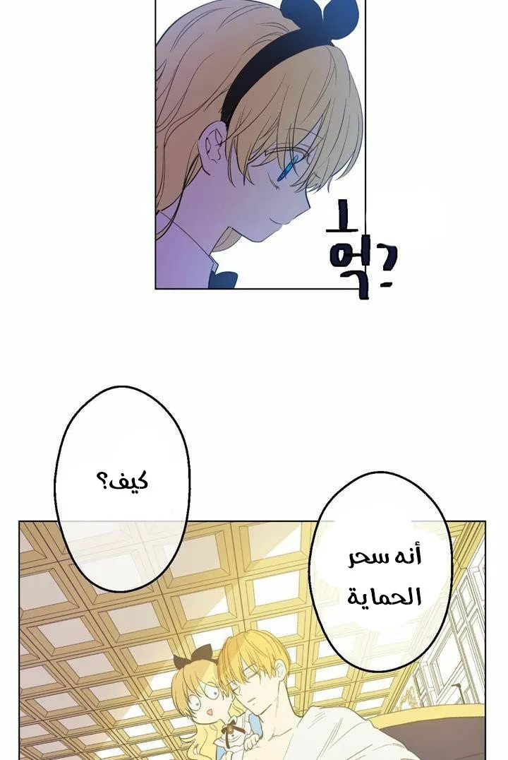 الصفحة 30 من 60