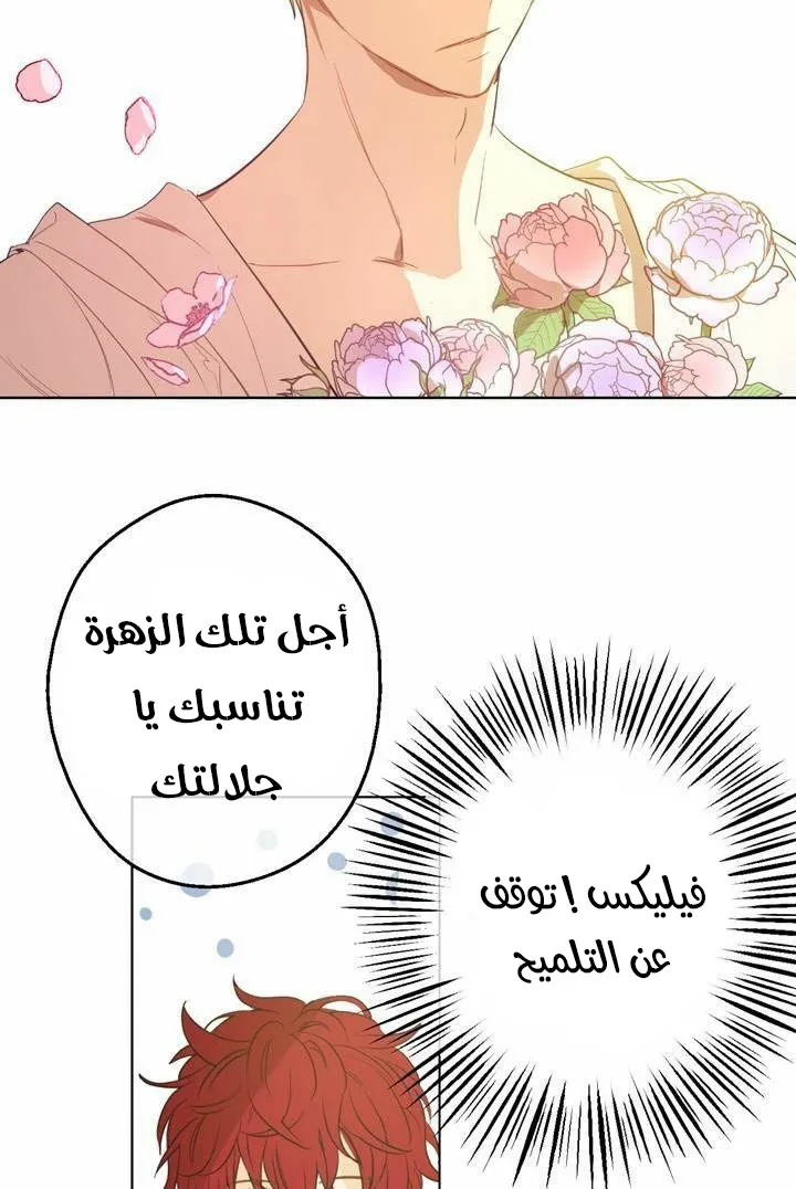 الصفحة 26 من 60