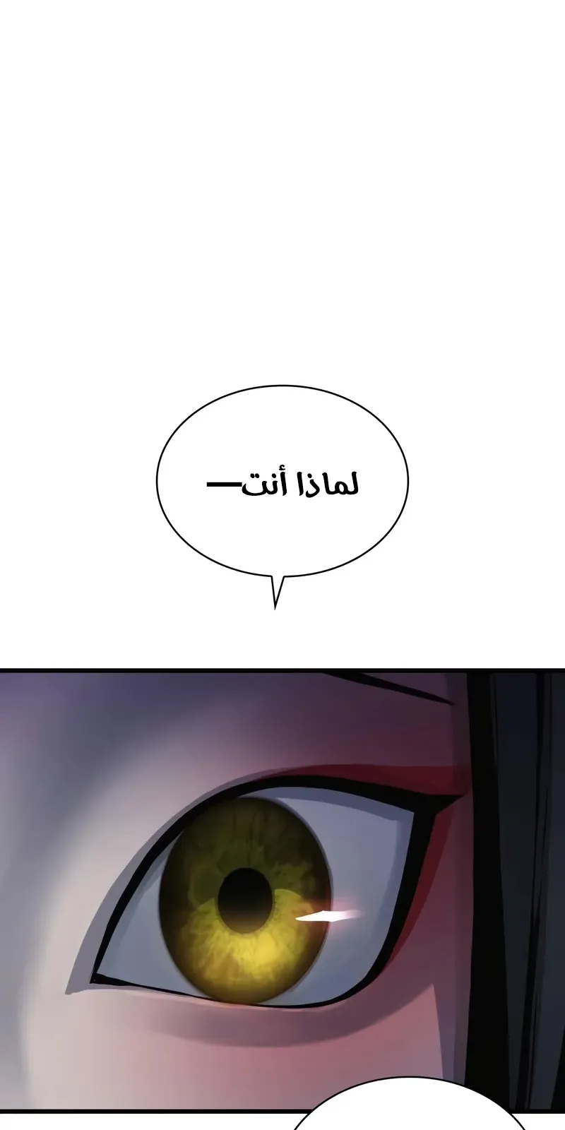 الصفحة 134 من 141