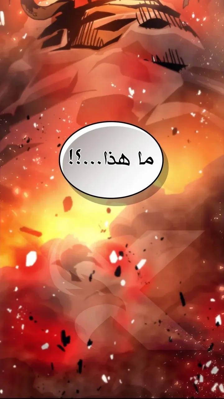 الصفحة 56 من 71