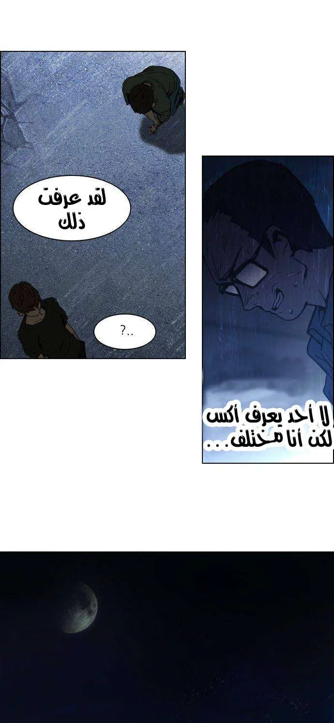 الصفحة 29 من 50