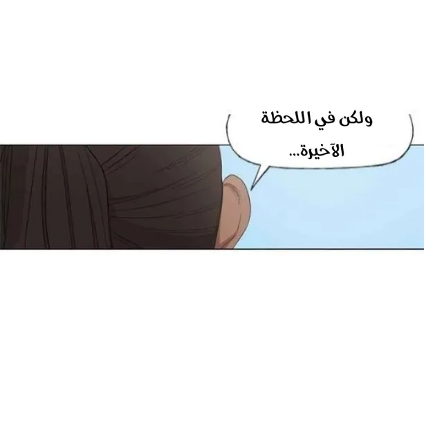 الصفحة 43 من 63