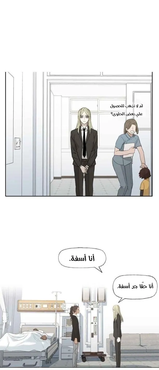 الصفحة 38 من 63