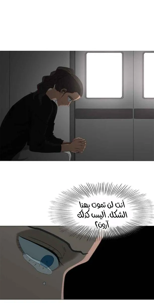 الصفحة 21 من 63
