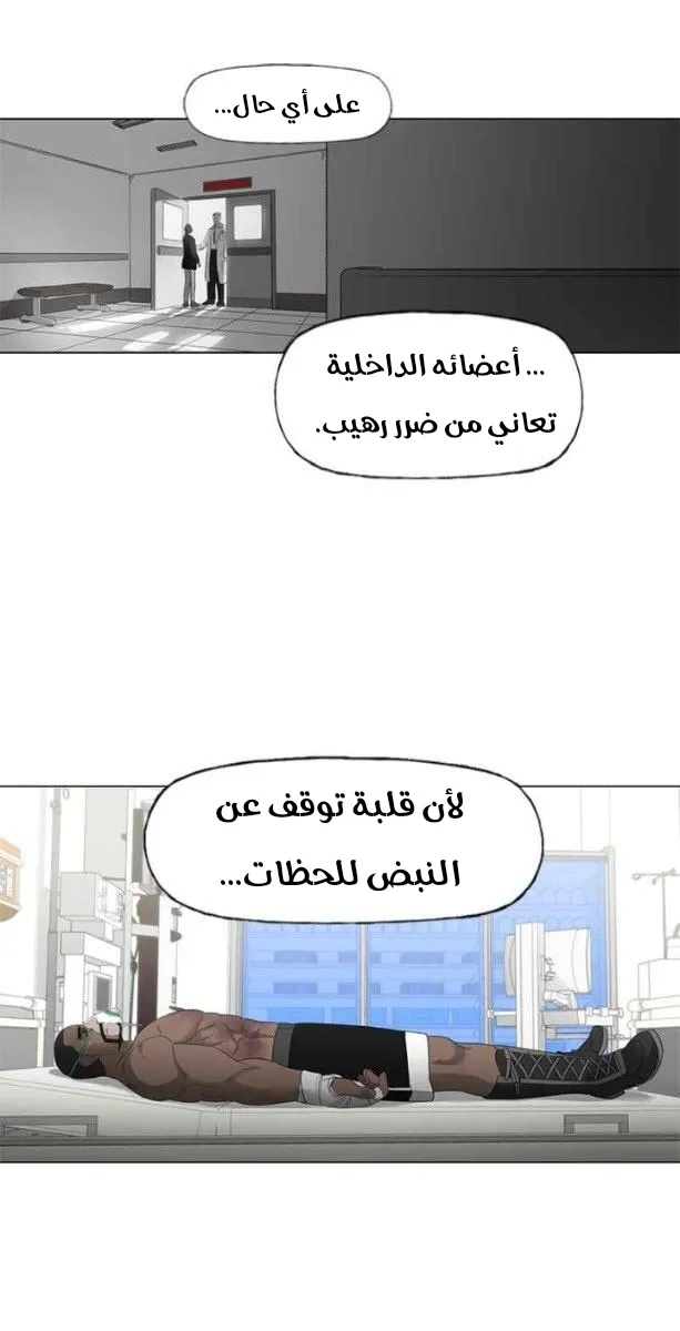 الصفحة 26 من 63