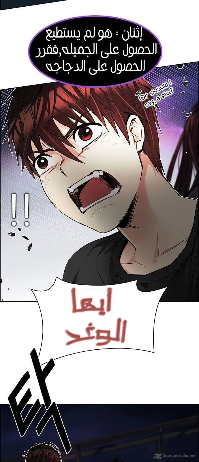 الصفحة 13 من 63