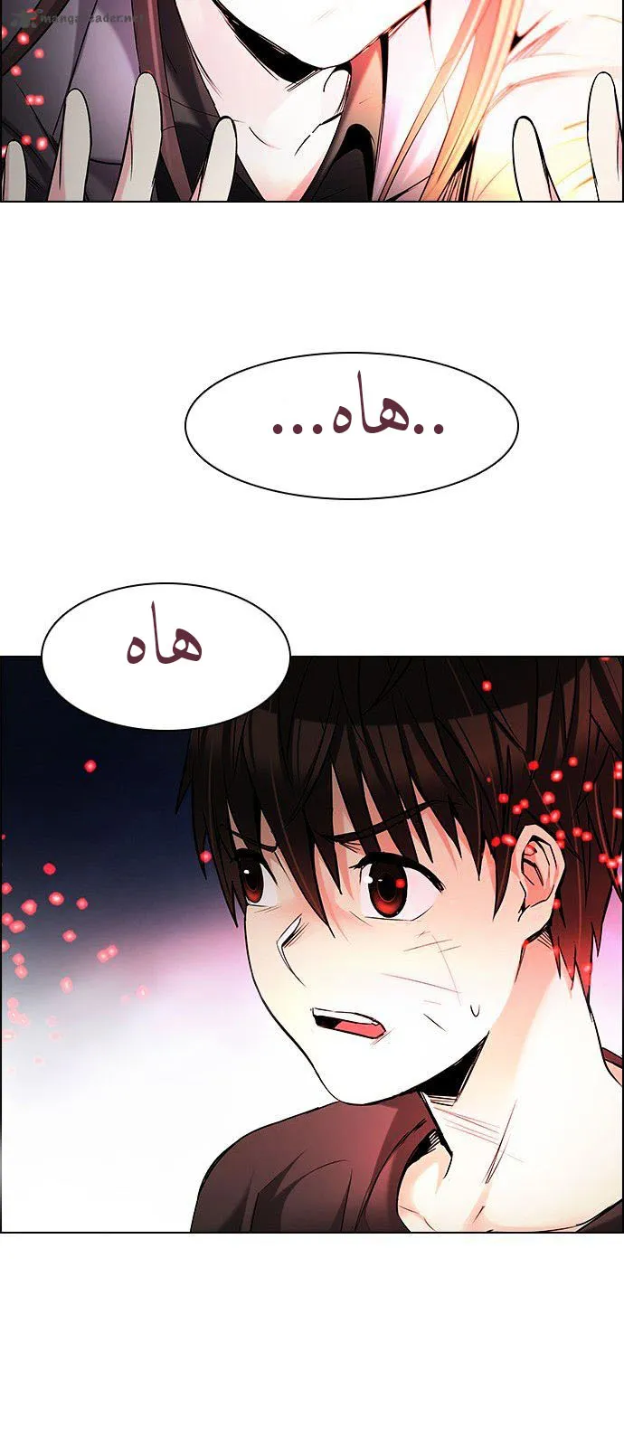 الصفحة 31 من 63