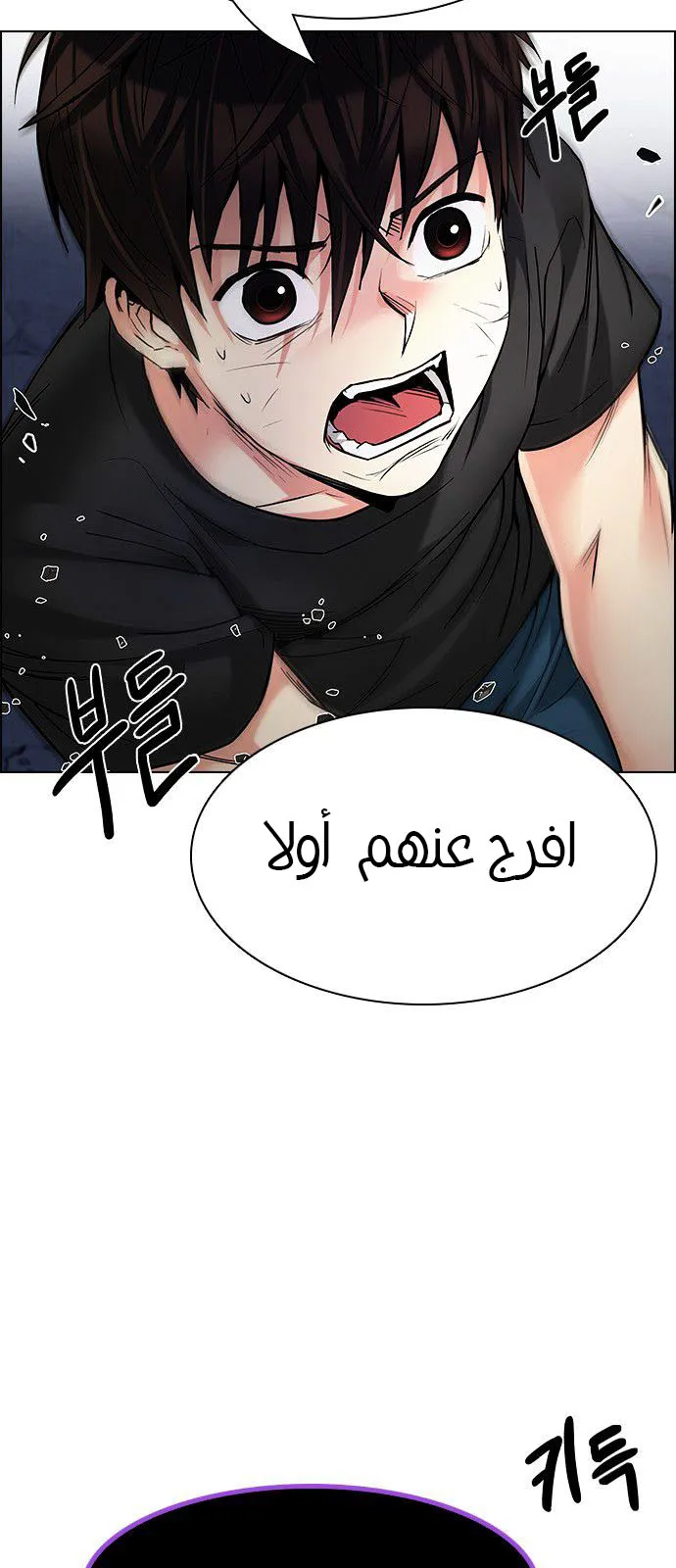 الصفحة 12 من 65