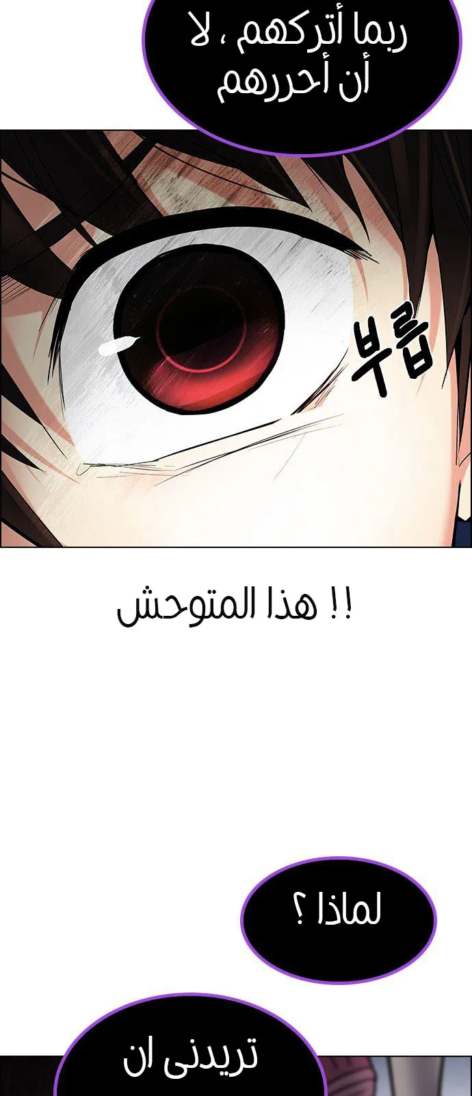 الصفحة 51 من 65