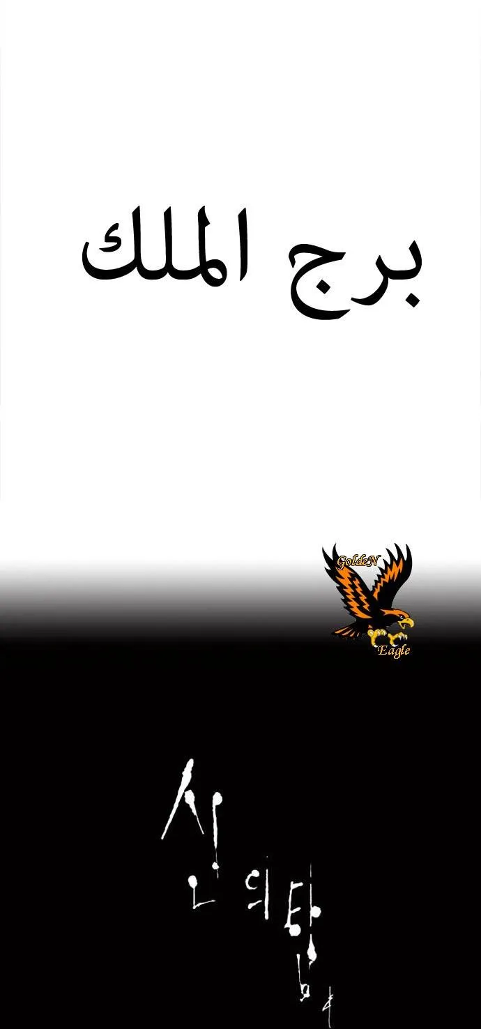 الصفحة 31 من 33