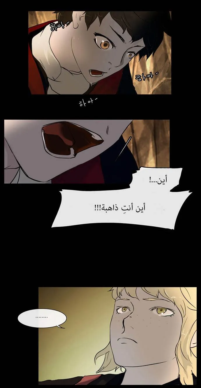الصفحة 11 من 44