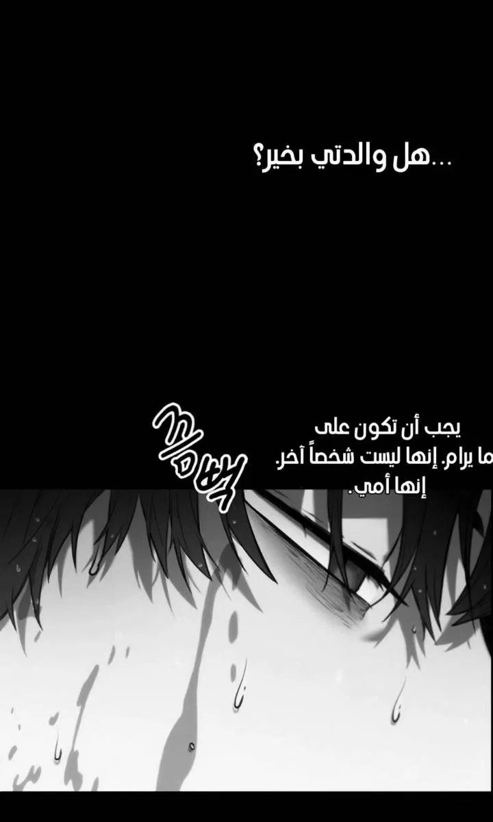 الصفحة 21 من 97