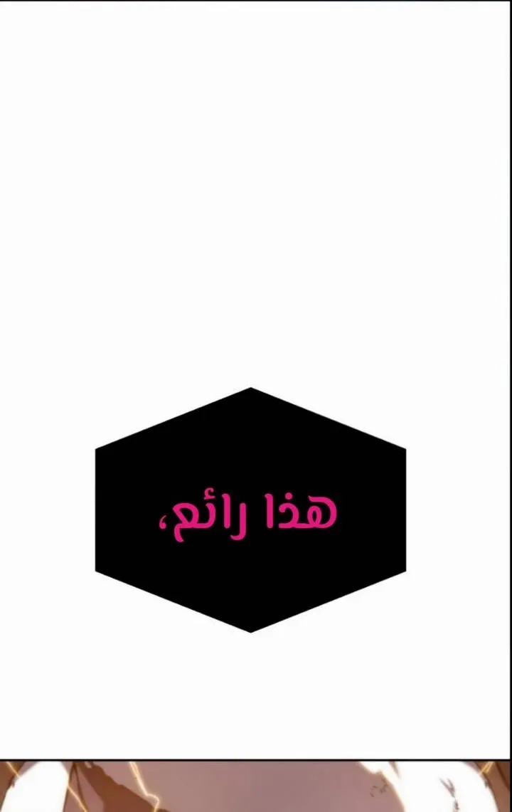 الصفحة 28 من 97