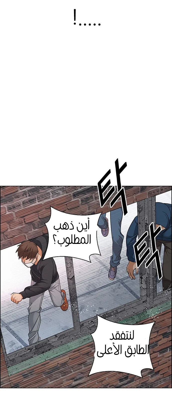 الصفحة 41 من 52