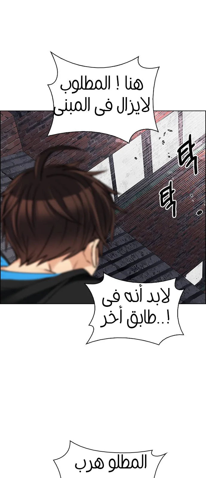الصفحة 19 من 52