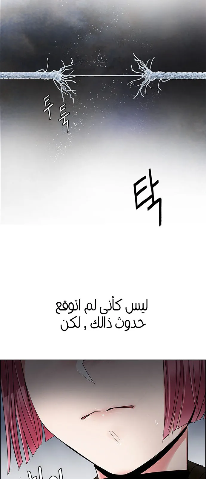 الصفحة 10 من 52